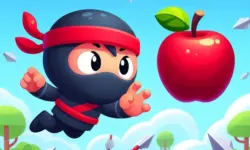 Flip Ninja image