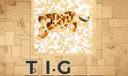 PictureCipher image
