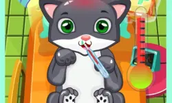 Cat Doctor image