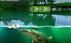 Willow Pond image