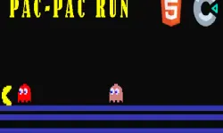 PAC PAC RUN image