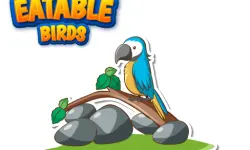 Eatable Birds image