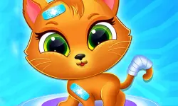 Cute Cat Doctor image