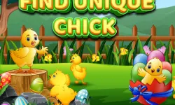 Find Unique Chick image