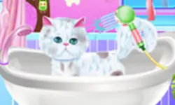 Pet Groomer image
