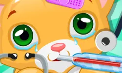 Kitty Doctor image