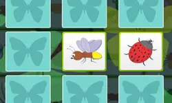 Kids Memory - Insects image