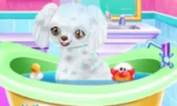 My New Poodle Friend - Pet Care Game image