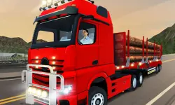 City Truck Driver image