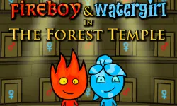 Fireboy and Watergirl: Forest Temple Game image