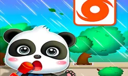 Baby Panda Hurricane Safety image
