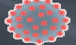 The coronavirus game image