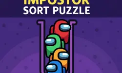 Impostor Sort Puzzle Game image