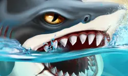 Shark World image