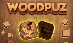 WoodPuz: Block Puzzle Games image
