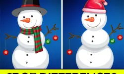 Christmas Spot differences image