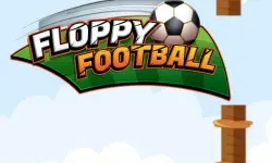 Floppy Football image