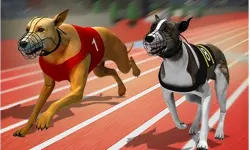 Racing Dog Simulator : Crazy Dog Racing Games image