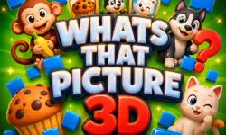 Whats That Picture 3D image