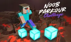 Noob Parkour Challenge 3D image