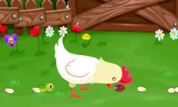 Stupid Chicken image