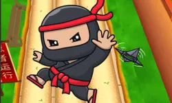Nano Ninjas image