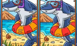 Marine Spot The Difference image