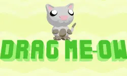 Drag Meow image