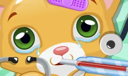 Little Cat Doctor image