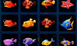 Fish Cards Match image
