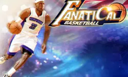 Fanatical Basketball image