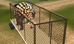 Dino Transport Simulator image