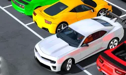 Real Advance Car parking image