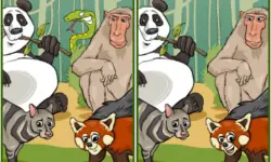 Wildlife Safari Five Diffs image
