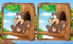 Jungle 5 Diffs image