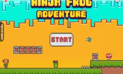 Ninja Frog Adventure image