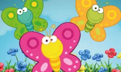 Butterfly Matching image
