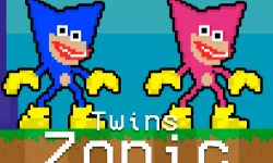 Twins Zonic image