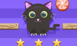 Cut For Cat Challenge image