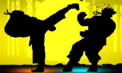 Shadow Fights image