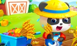 Baby Panda Dream Garden image
