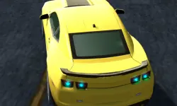Rac Simulator image