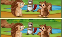 Spot The Differences Forests image