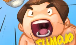 Sumo.io image