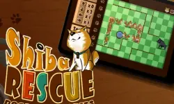 Shiba Rescue : Dogs and Puppies image