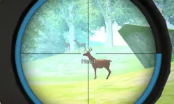 Hunter image