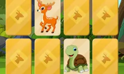 Wild Animals Memory image