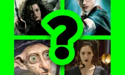 WHICH HARRY POTTER CHARACTER ARE YOU? image