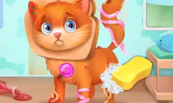 Cute Pet Doctor Care image