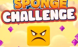 Sponge Challenge image